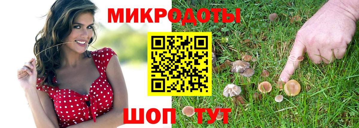 как найти закладки  Галлюциногенные грибы Magic Shrooms  Вход с VPN  Фурманов 