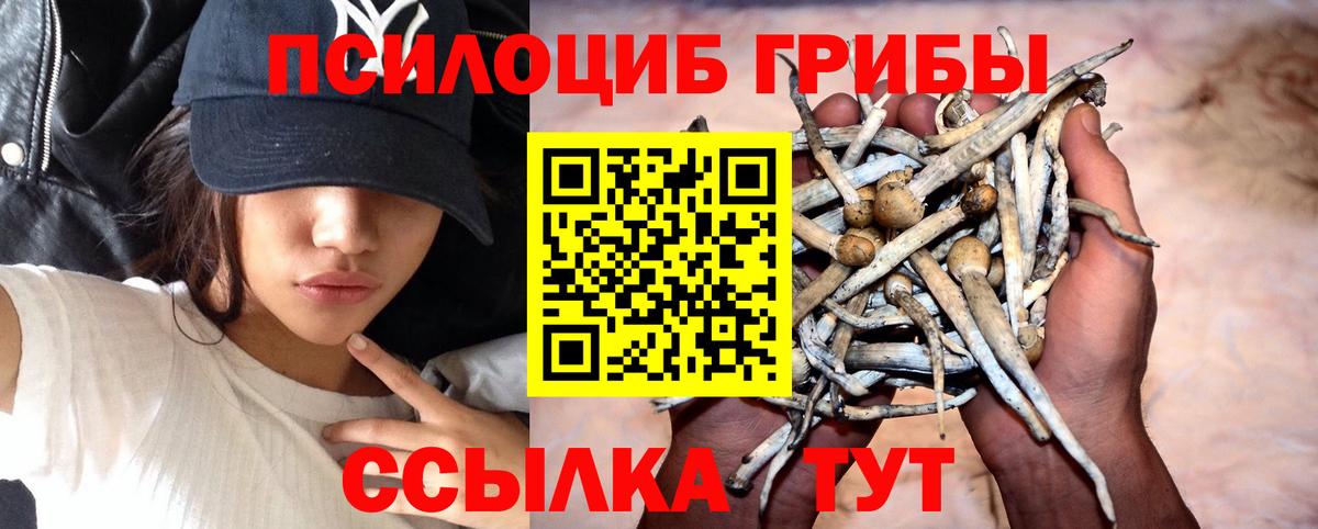 Псилоцибиновые грибы MAGIC MUSHROOMS Фурманов